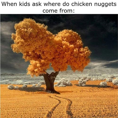 Chicken nugget meme tree